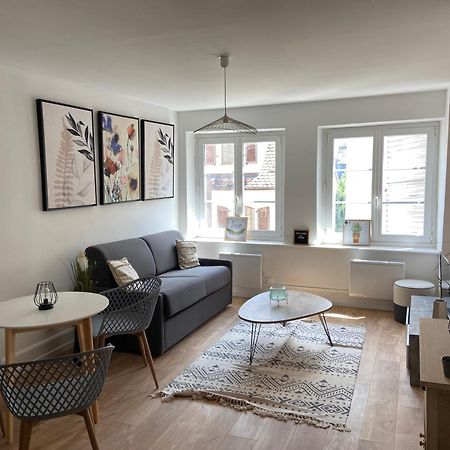 Studio Cathedrale Apartment Strasbourg Luaran gambar